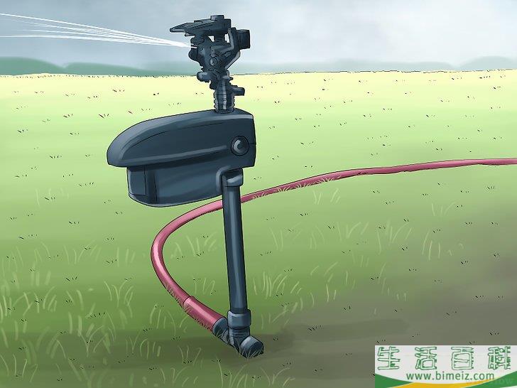 怎么驱赶鸟类
