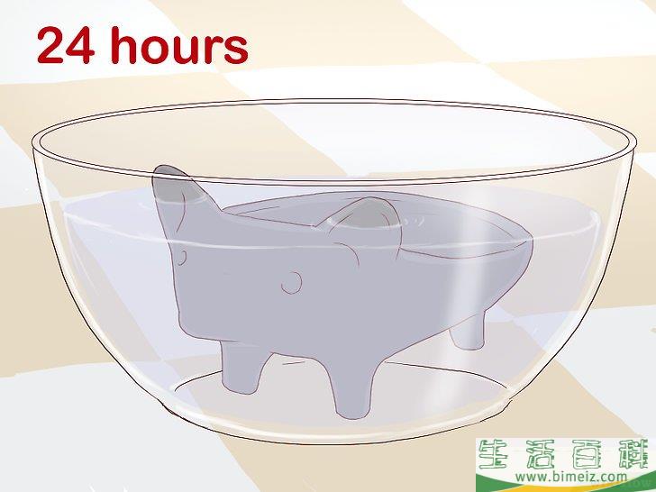 怎么培植奇亚籽宠物