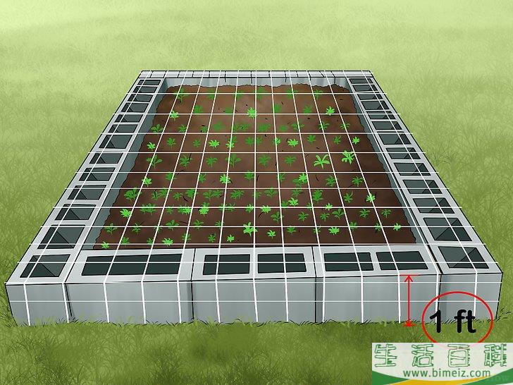 怎么驱赶鸟类
