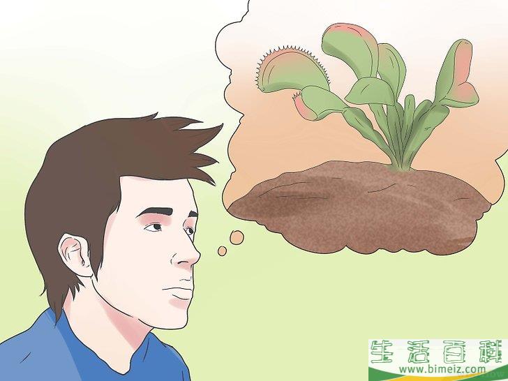 怎么照顾捕蝇草