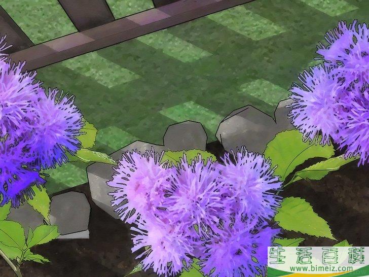 怎么用植物驱蚊