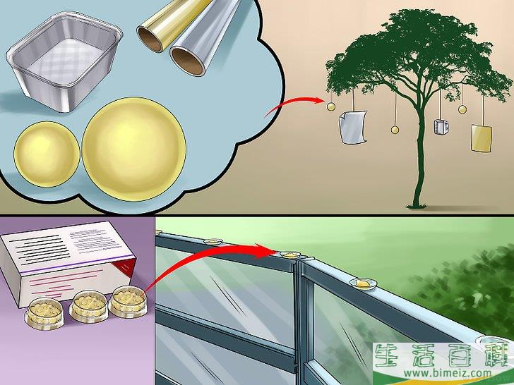 怎么驱赶鸟类