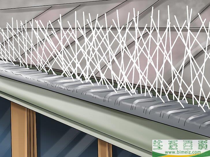 怎么驱赶鸟类