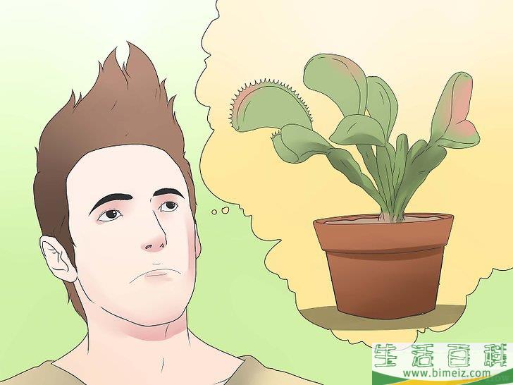 怎么照顾捕蝇草