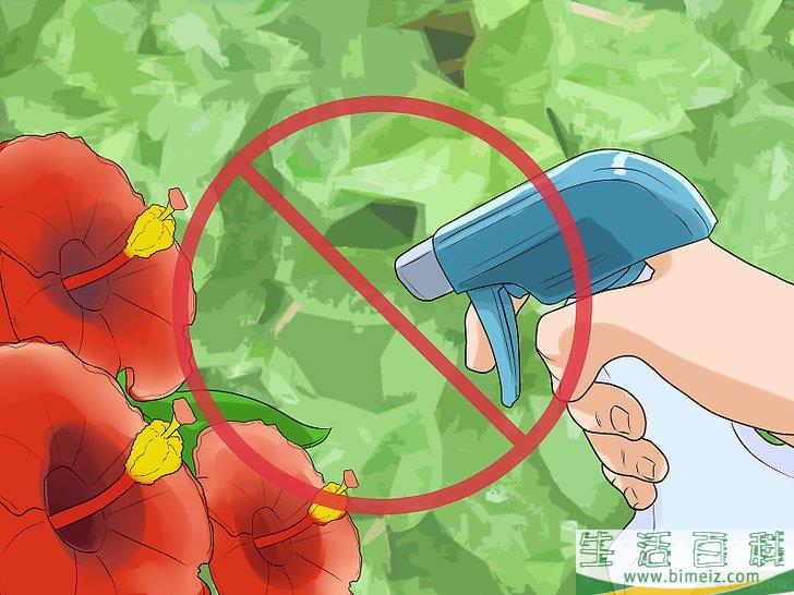 怎么用醋杀死杂草