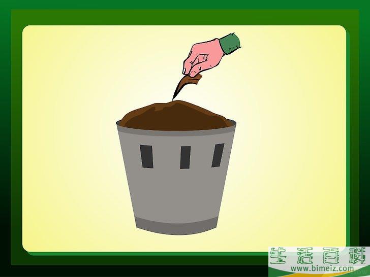 怎么除去室内植物棕色的叶尖