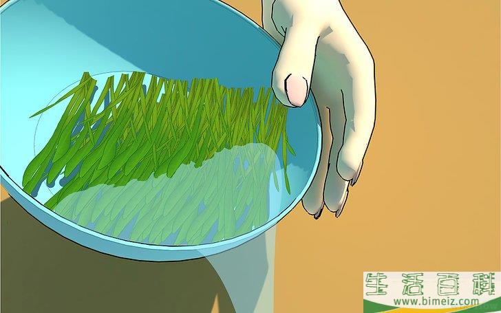 怎么在家种小麦草