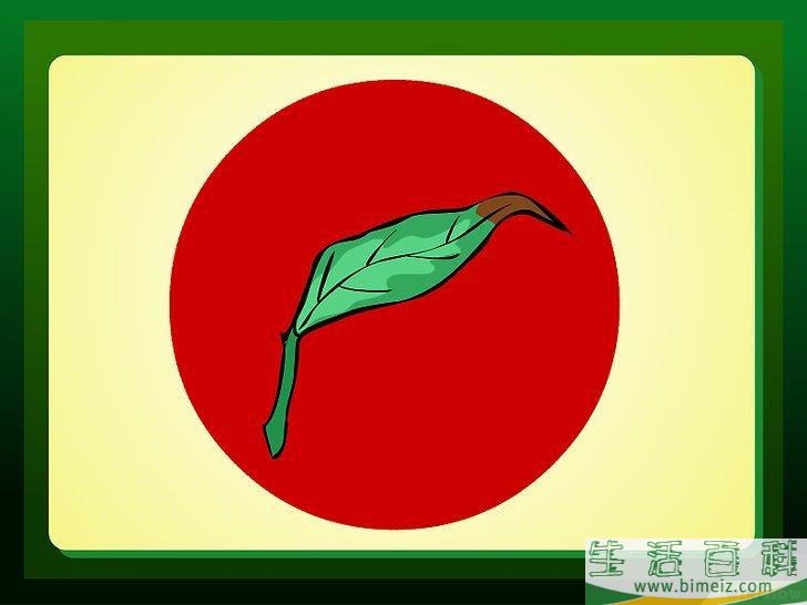 怎么除去室内植物棕色的叶尖