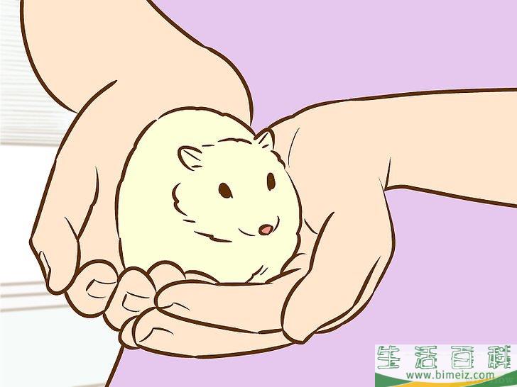 怎么说服父母养狗