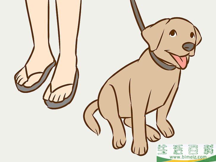怎么说服父母养狗
