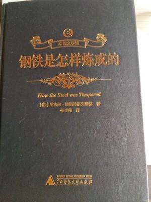 用一句话概括《钢铁是怎样炼成的》这篇文章