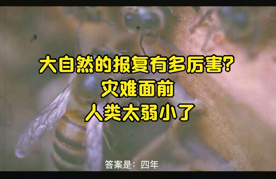 如果蜜蜂灭绝会对人类有什么影响