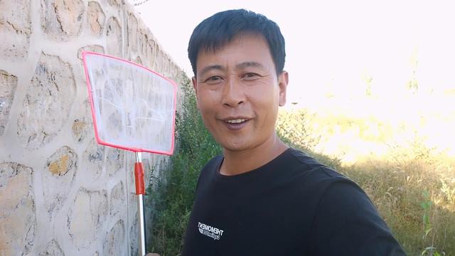 蝈蝈的生活习性