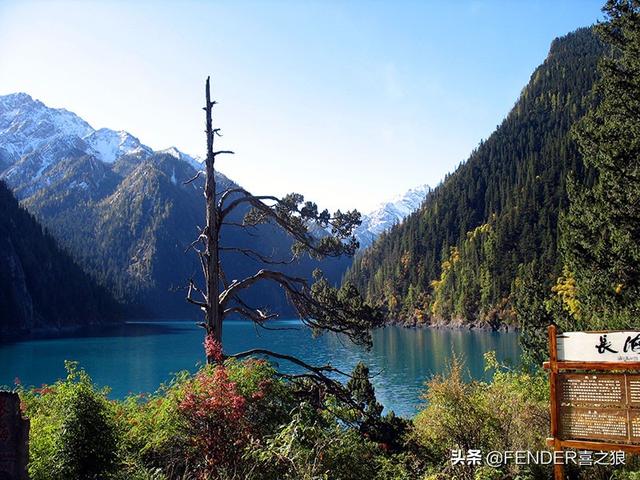 白银到九寨沟有多远