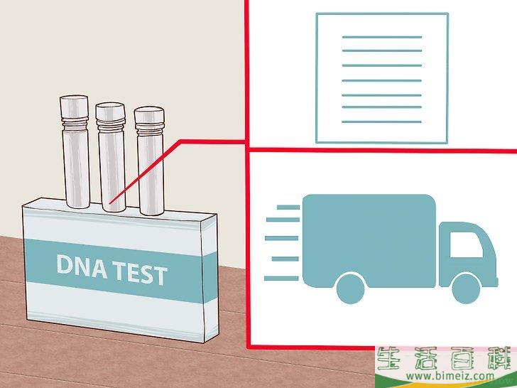 怎么采集DNA