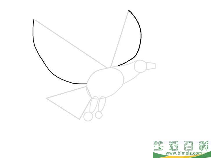 怎么画老鹰