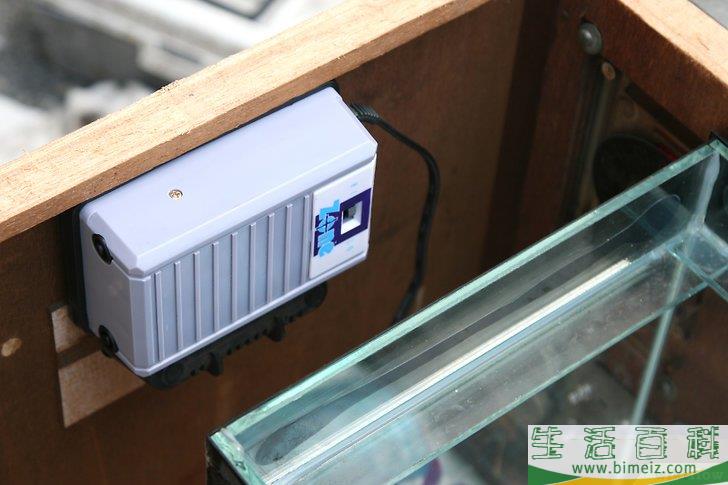 怎么将旧电视机改造成鱼缸