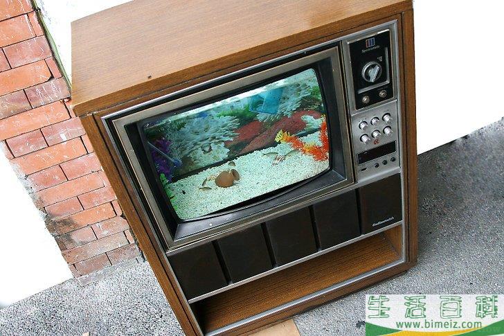怎么将旧电视机改造成鱼缸