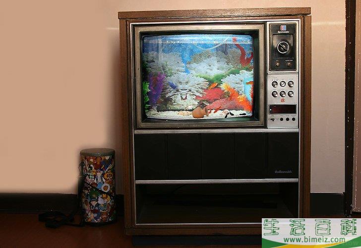 怎么将旧电视机改造成鱼缸