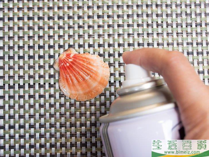 怎么使贝壳变得干净又闪亮