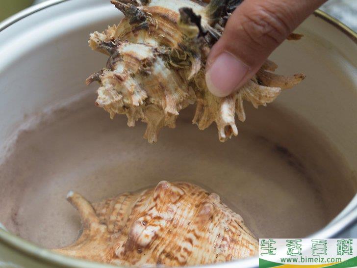 怎么使贝壳变得干净又闪亮