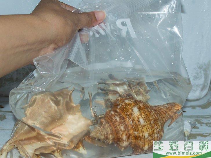怎么使贝壳变得干净又闪亮