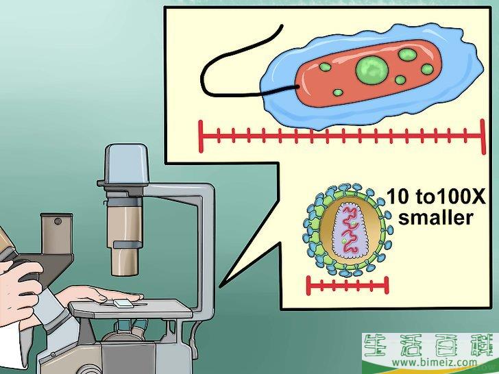 怎么区分病毒和细菌