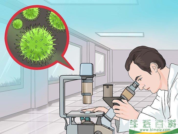 怎么区分病毒和细菌