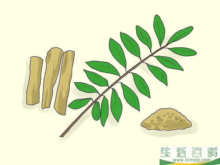 能通过服用草药增大阴茎吗?事实与谎言