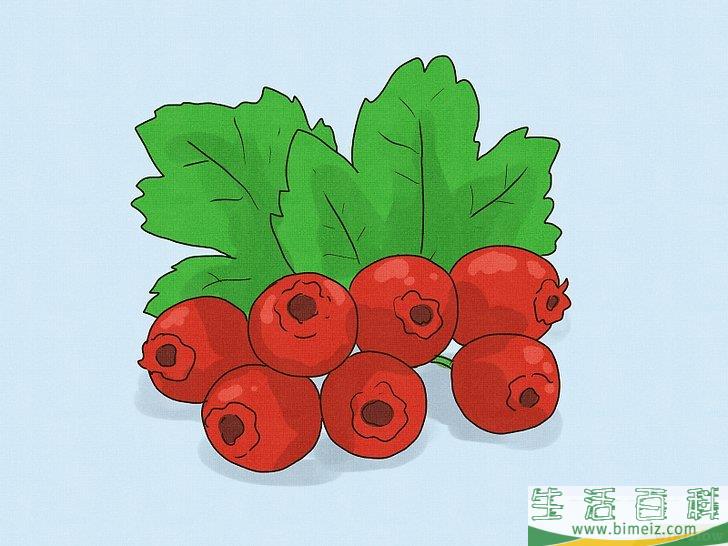 能通过服用草药增大阴茎吗?事实与谎言