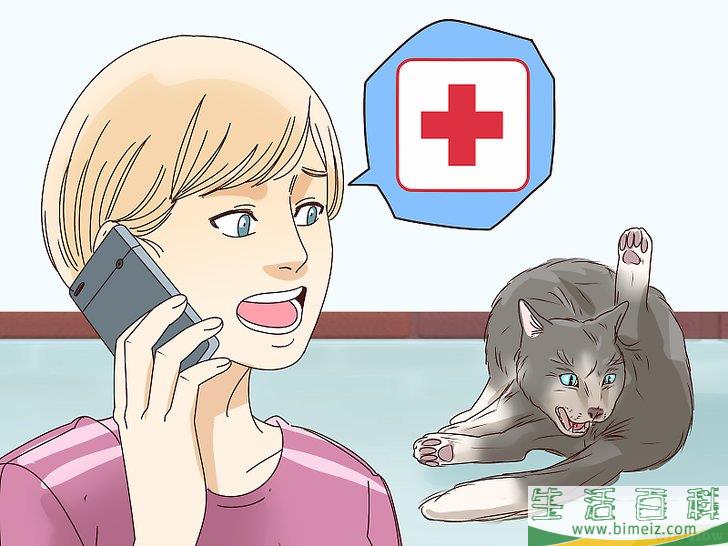 怎么判断猫咪是否即将分娩