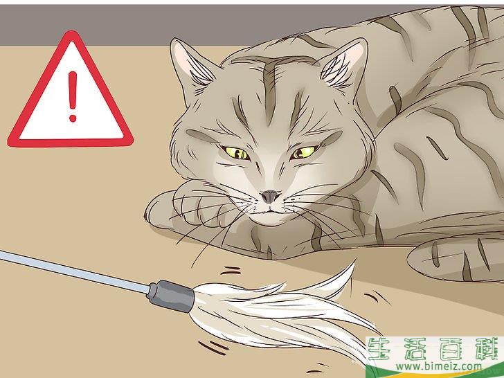 怎么判断猫咪是否即将分娩