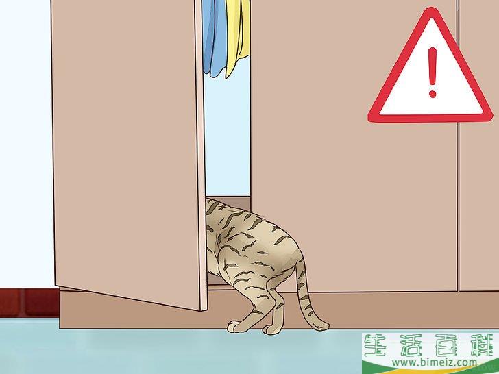 怎么判断猫咪是否即将分娩