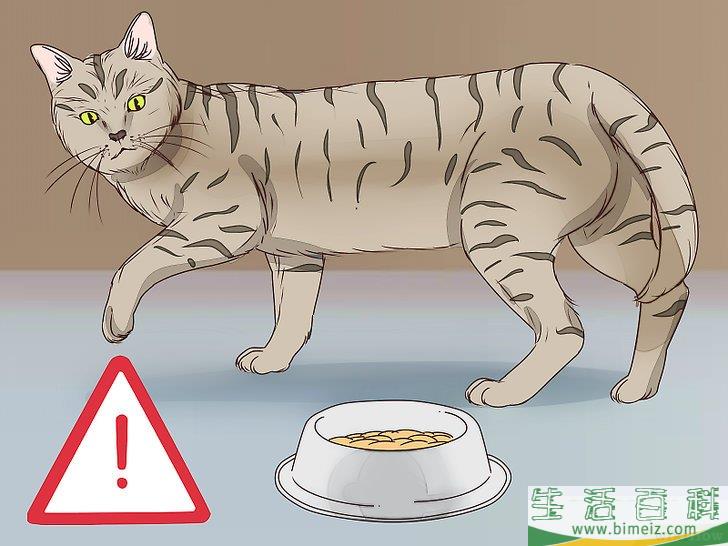 怎么判断猫咪是否即将分娩