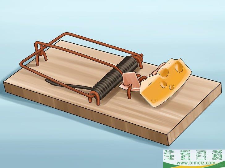 怎么快速灭鼠