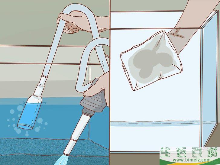 怎么判断一个鱼缸可以装多少条鱼