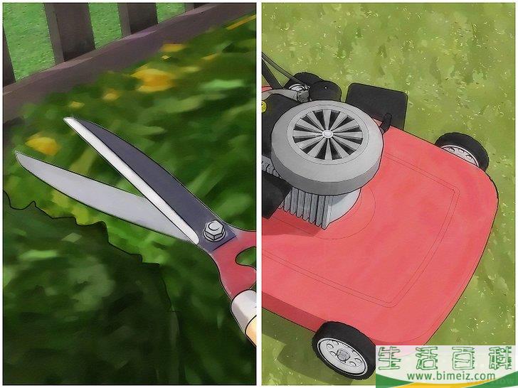 怎么让自家院子里没有蚊子