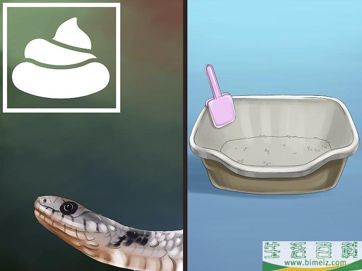 怎么快速灭鼠