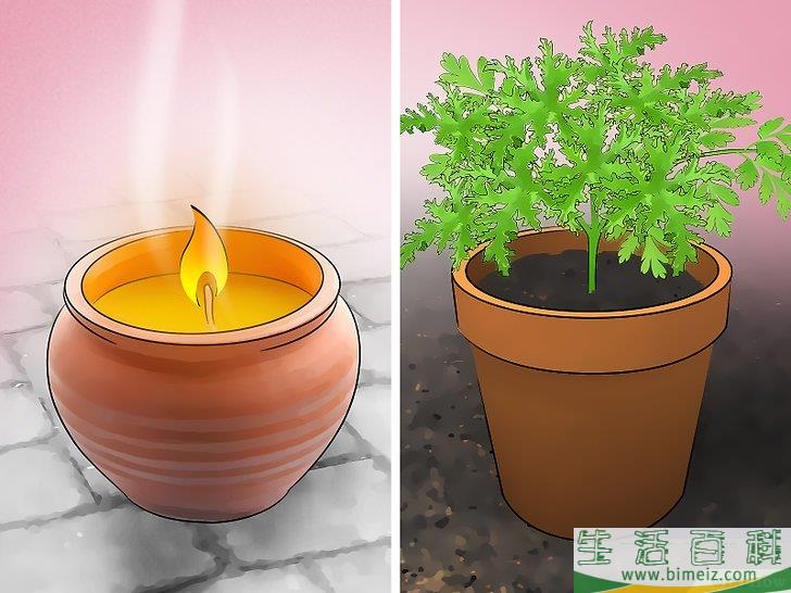 怎么驱除蚊子