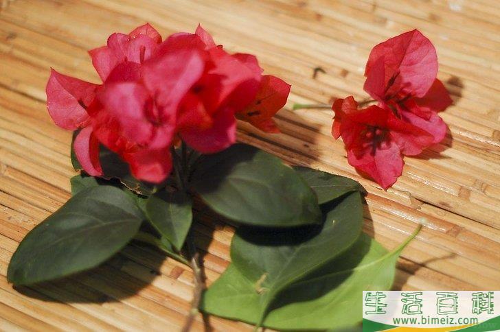怎么打发夏天里的无聊时间