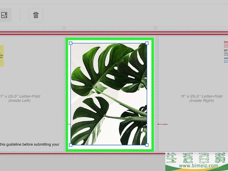 怎么将图像插入PDF