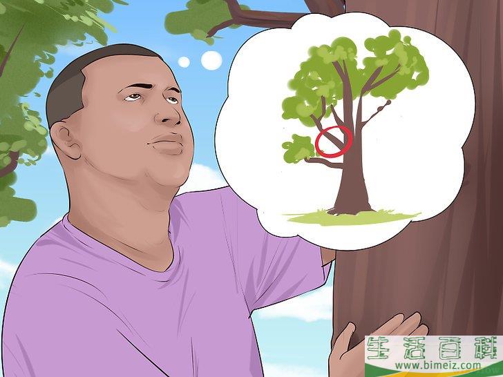 怎么爬树