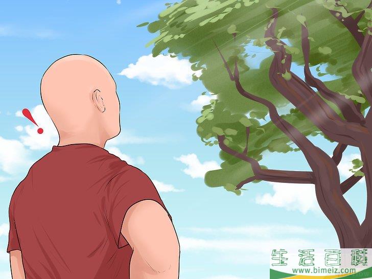 怎么爬树