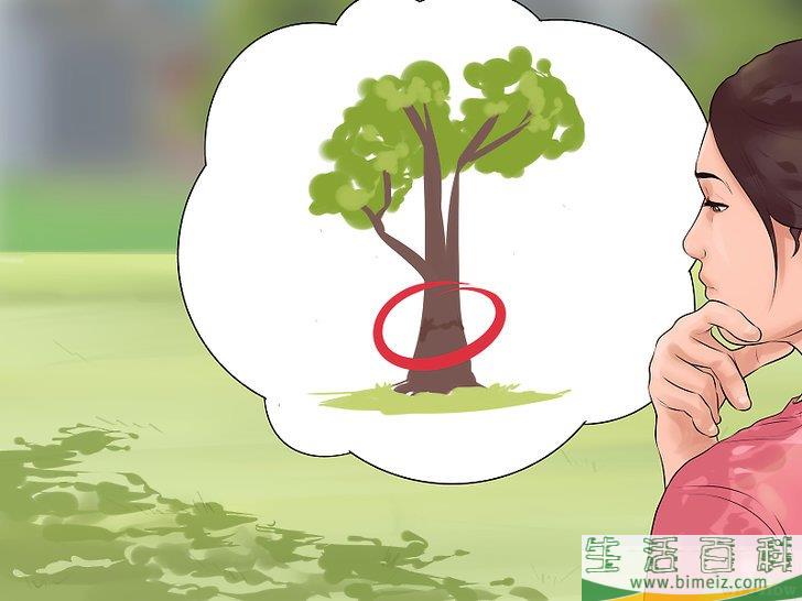 怎么爬树