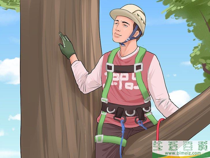 怎么爬树