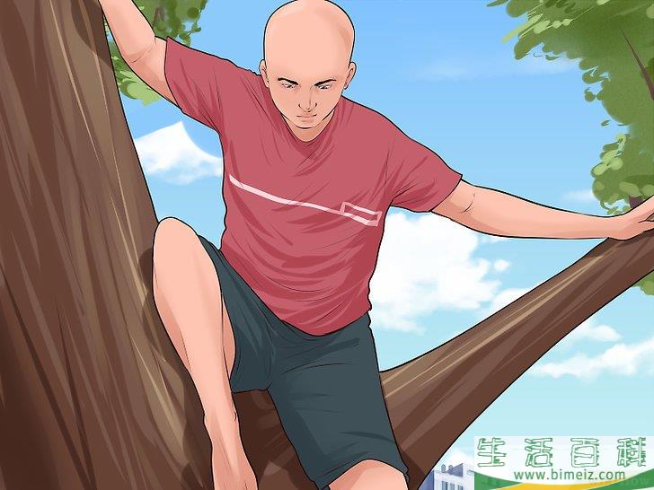 怎么爬树