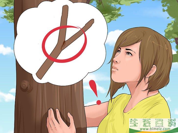 怎么爬树