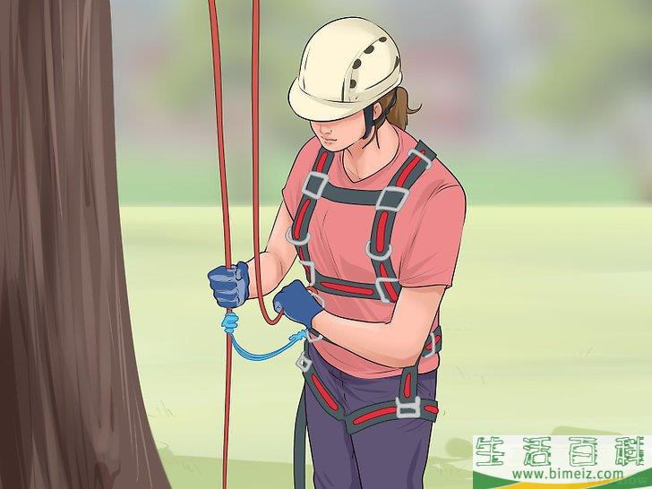 怎么爬树