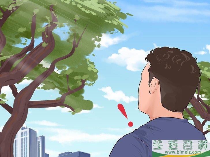 怎么爬树