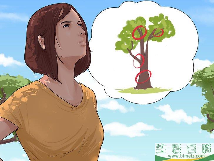 怎么爬树
